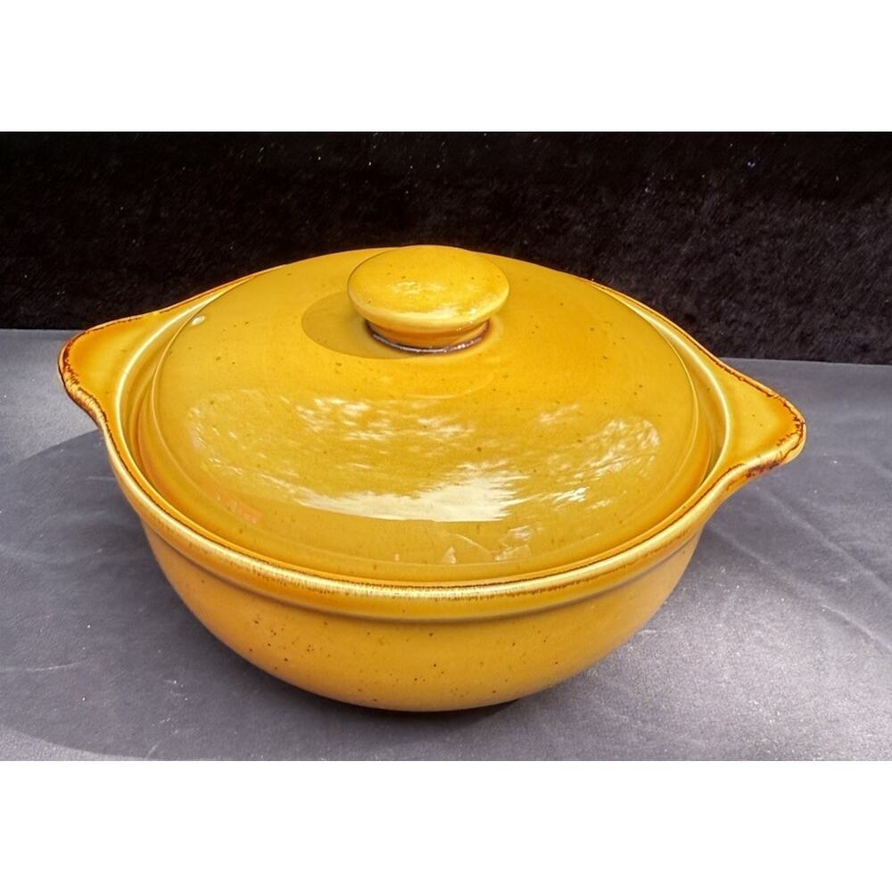Sabatier Cannes 4385 Mustard Color Dutch Oven 10” Dish Crate & Barrel